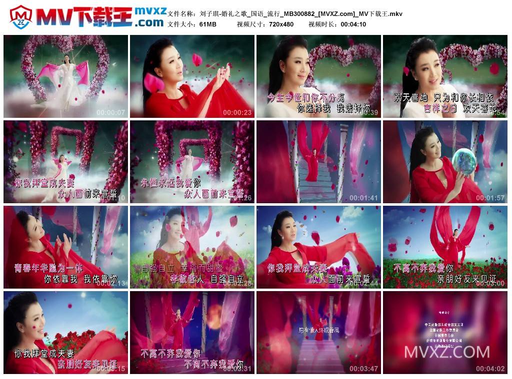 刘子琪-婚礼之歌_国语_流行_MB300882